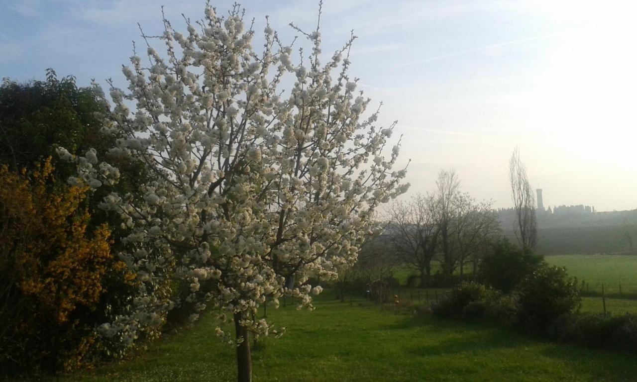 ديسينسانو ديل غاردا Monte Maino Bed & Breakfast المظهر الخارجي الصورة